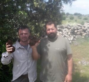 Dos hombres en el campo sosteniendo cada uno una trugfa de verano recién recolectada