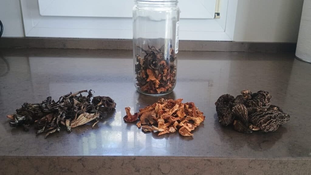 Boletus, chantarela y colmenillas deshidratadas
